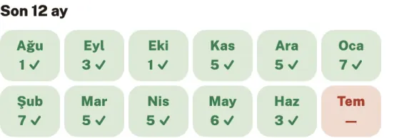 Aynı kartın altındaki son 12 ay çizelgesi: Ağustos'tan Haziran'a kadar her ay yeşil ve ödendiği günün numarası yazılı (Ağustos 1, Eylül 3, Ekim 1, Kasım 5, Aralık 5, Ocak 7, Şubat 7, Mart 5, Nisan 5, Mayıs 6, Haziran 3). Temmuz kırmızı ve çizgi — henüz kapanmamış.